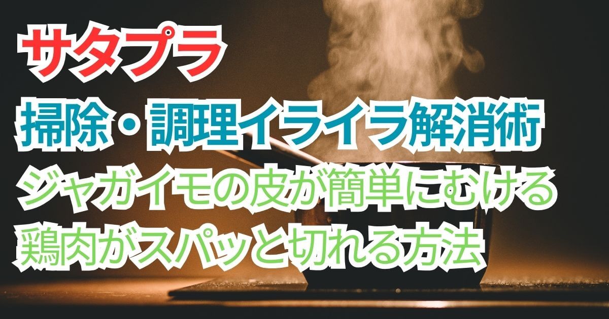 サタデープラスの調理&掃除イライラ解決術のアイキャッチ画像